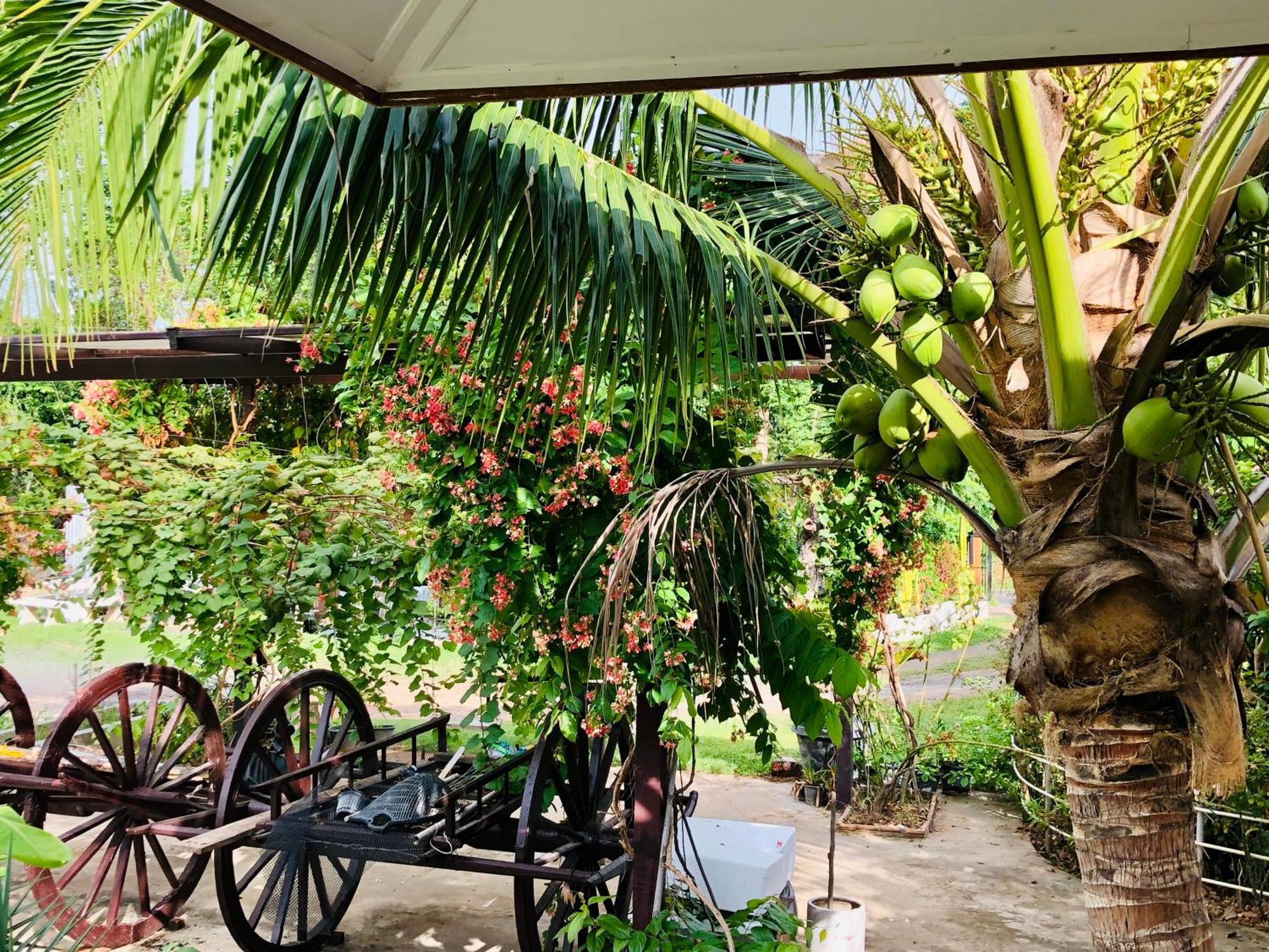 Baan Thung Home Stay Prasat Exterior photo