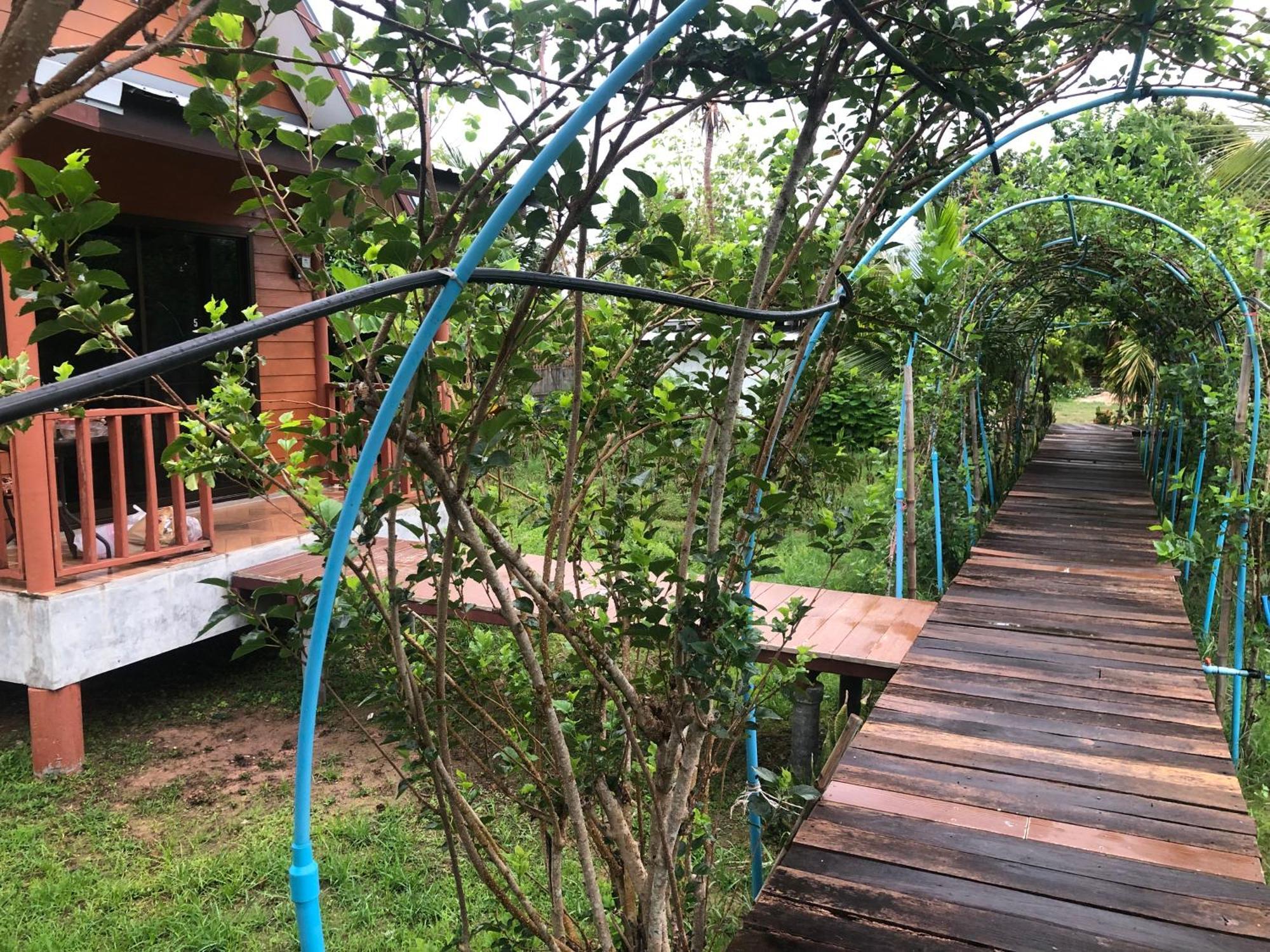 Baan Thung Home Stay Prasat Exterior photo
