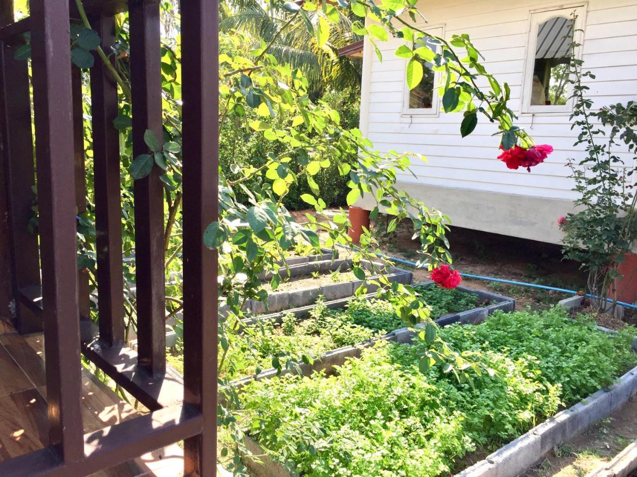 Baan Thung Home Stay Prasat Exterior photo