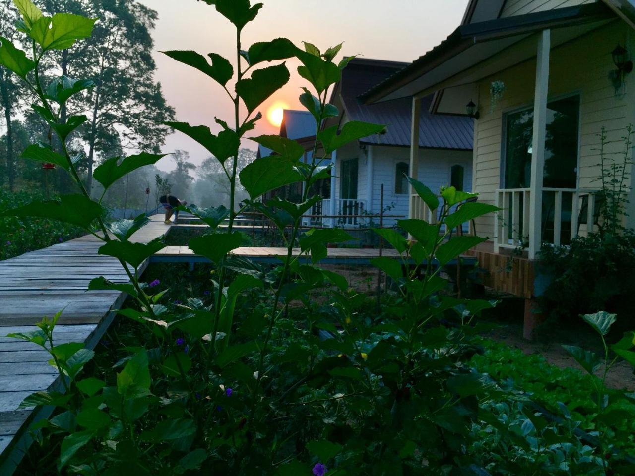 Baan Thung Home Stay Prasat Exterior photo