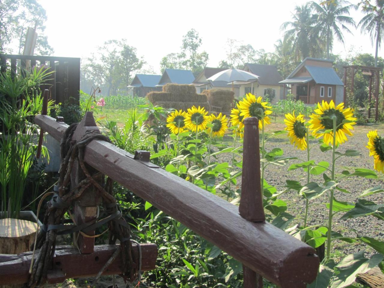 Baan Thung Home Stay Prasat Exterior photo