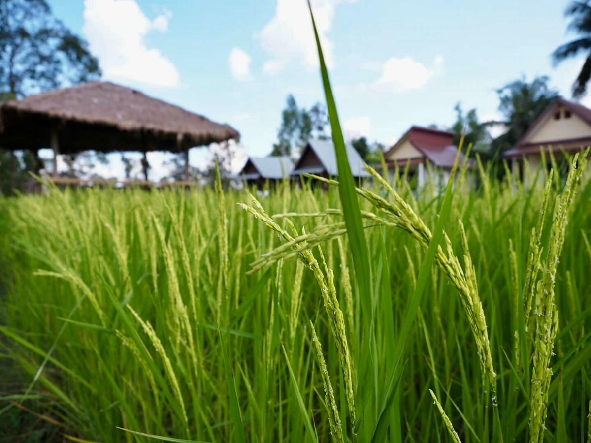 Baan Thung Home Stay Prasat Exterior photo