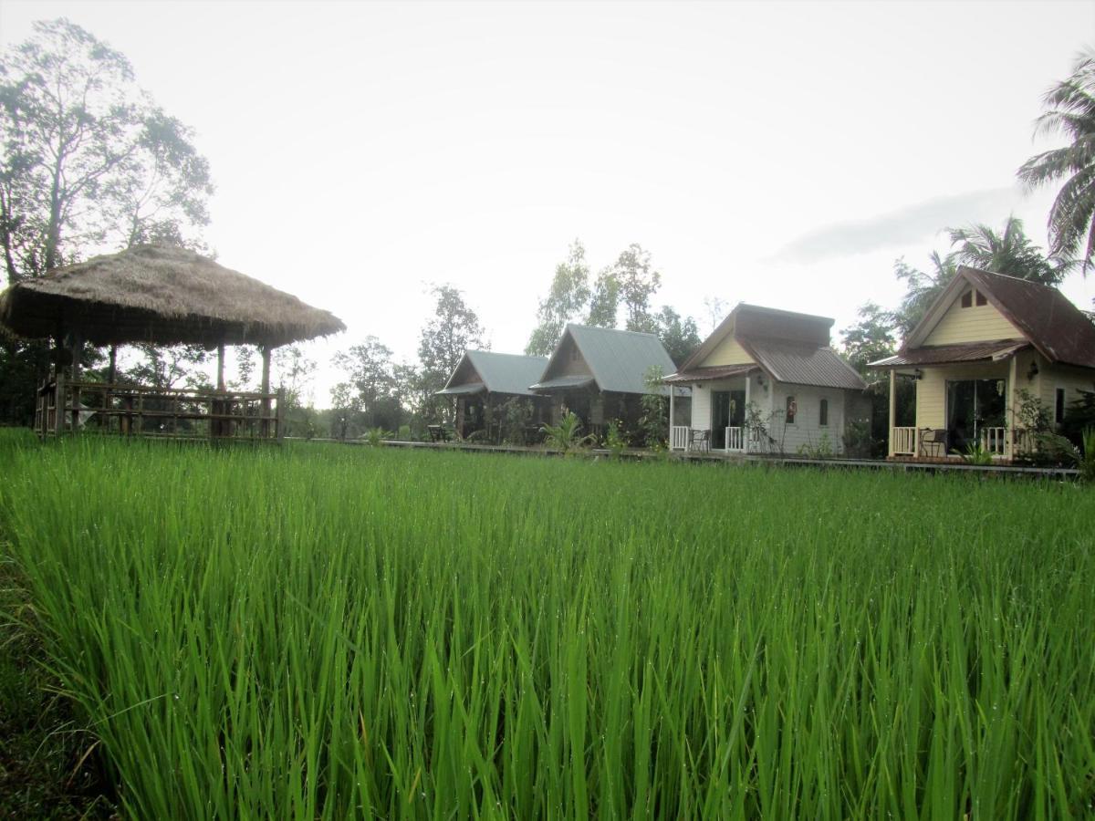 Baan Thung Home Stay Prasat Exterior photo