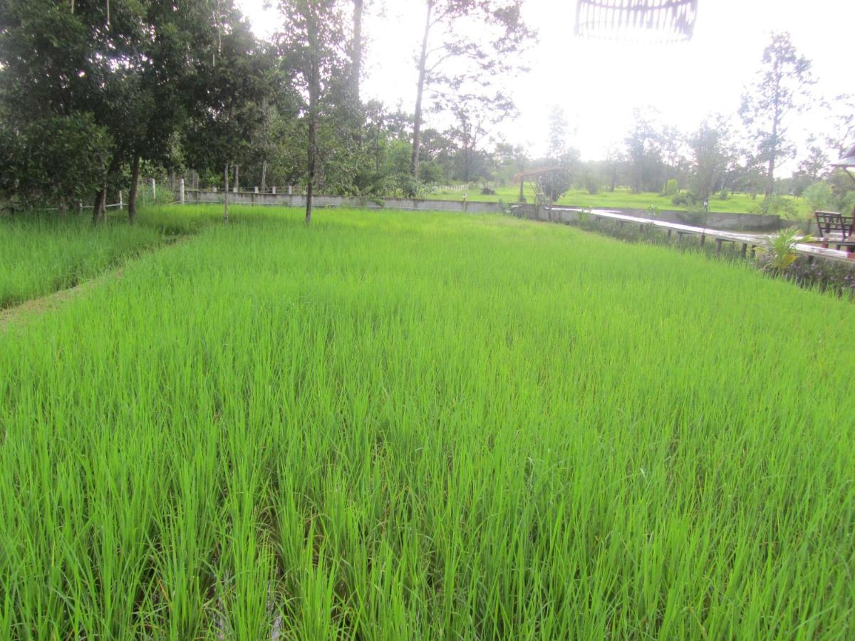 Baan Thung Home Stay Prasat Exterior photo
